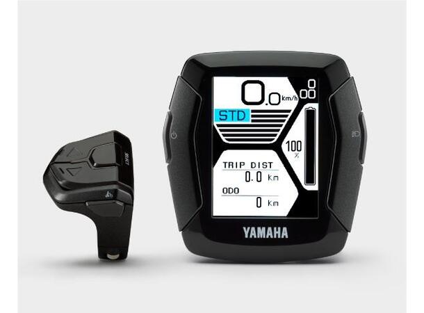 Yamaha Display Type C 