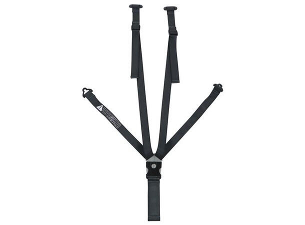 Thule Yepp Maxi Harness Complete 