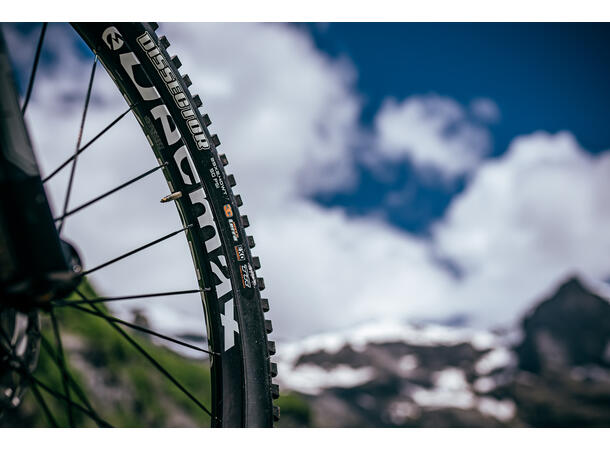 Mavic E-Deemax 27.5 – Bakhjul HG Shimano, 12x148 Boost, 6-bolt 