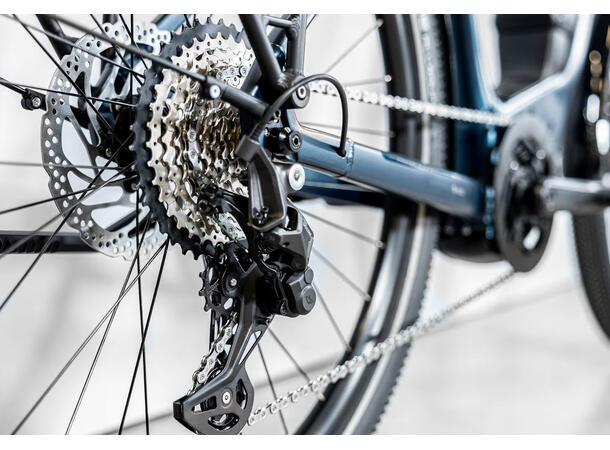 Trek Allant+ 6 Mulsanne Blue, M 