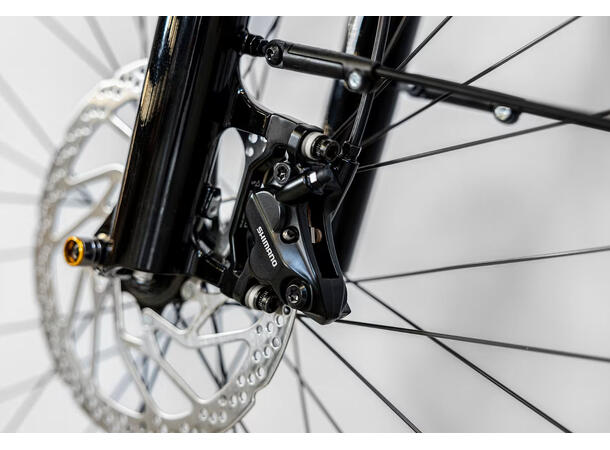 Trek Allant+ 6 Stagger S 