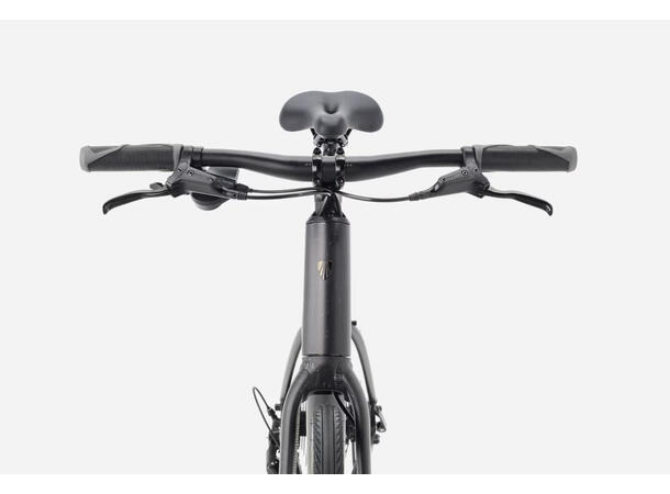 Trek FX 2 Stepover Gen4 Carbon Dark Grey, XS 