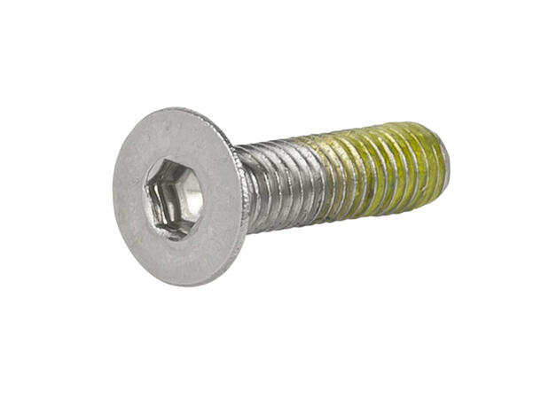 Trek Skrue Til Dropout M3 x 0.5 x 12mm 
