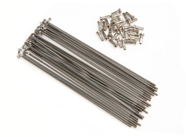 Brompton Eike 146mm inkl. nippel, 1 stk Sølv 