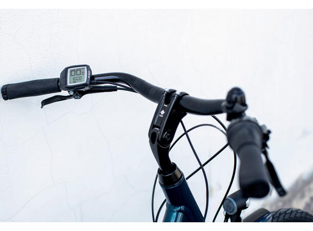 Trek District+ 1 Lowstep M 