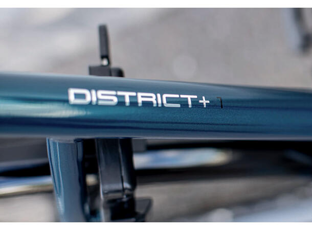 Trek District+ 1 Lowstep M 