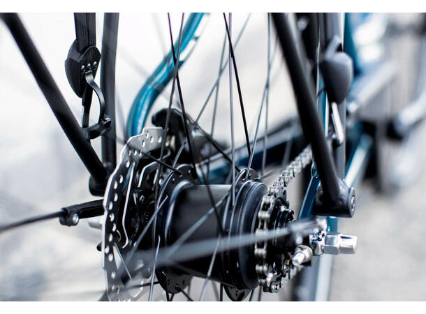Trek District+ 1 Lowstep M 