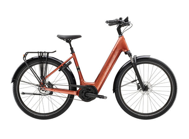 Trek District+ 4 Lowstep Pennyflake, 545Wh, S 