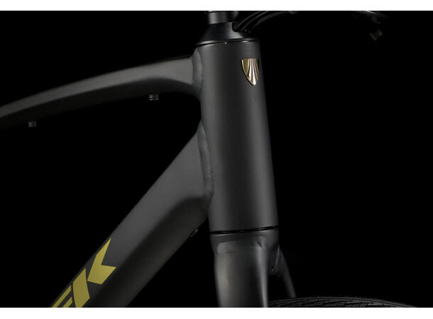 Trek FX 2 Disc L 