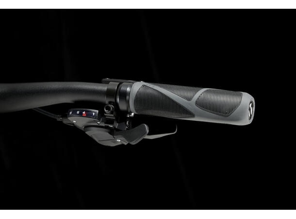 Trek FX 2 Disc L 