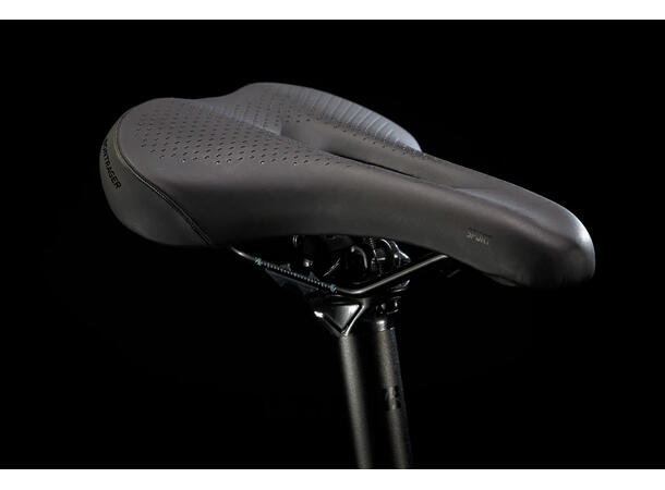 Trek FX 2 Disc L 
