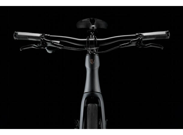 Trek FX Sport SL 4 M 