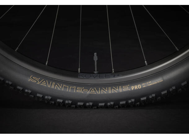 Trek Procaliber 6 L 