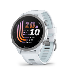 Garmin Forerunner 170 Music Granulittfarget + granulittfarget/skyblå