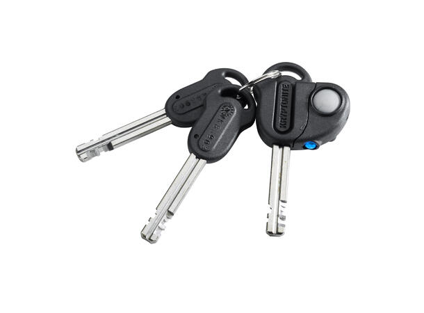 Kryptonite Evolution Kjettinglås 10mmx120cm kjetting, Nøkkel, FG-Godkjent 