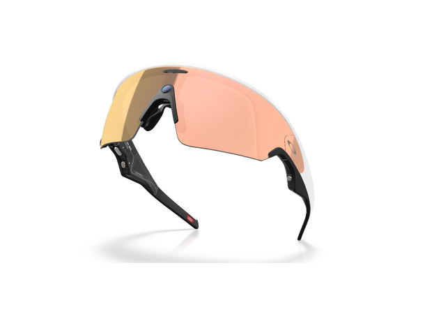 Oakley Meta Vanguard AI Briller 80010852 