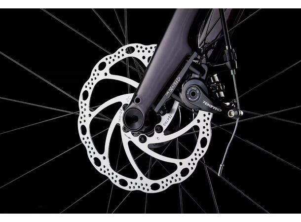 Trek Domane AL 2 Gen4 Crimson to Dark Carmine Fade, 56 