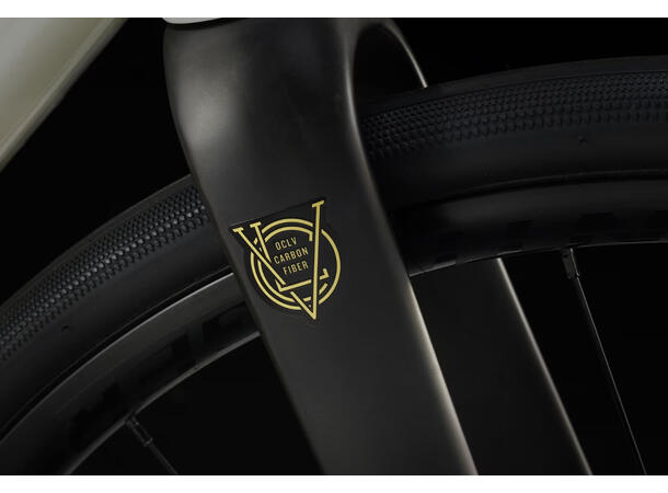 Trek Domane AL 4 Gen 4 54 