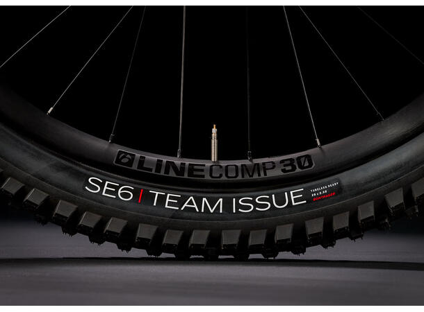Trek Slash 9 GX AXS T-Type Gen 6 Mercury, S 