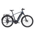 Trek Verve+ 4 Galactic Grey, 800Wh