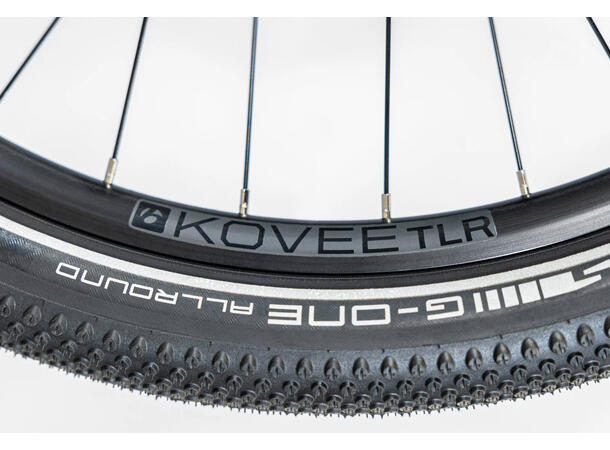 Trek Allant+ 6 Galactic Grey, L 