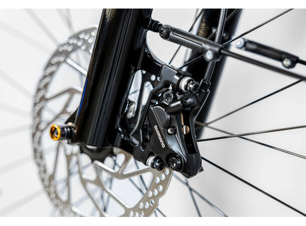 Trek Allant+ 6 Galactic Grey, L 