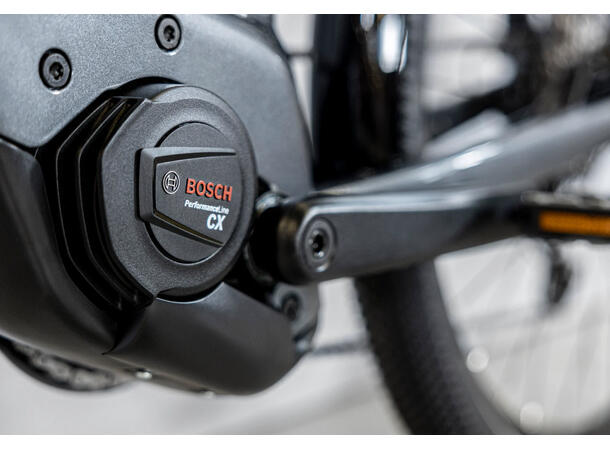 Trek Allant+ 6 Galactic Grey, L 
