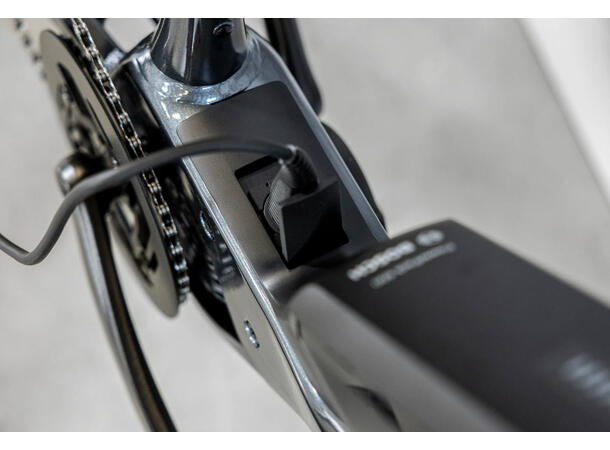 Trek Allant+ 6 Galactic Grey, L 