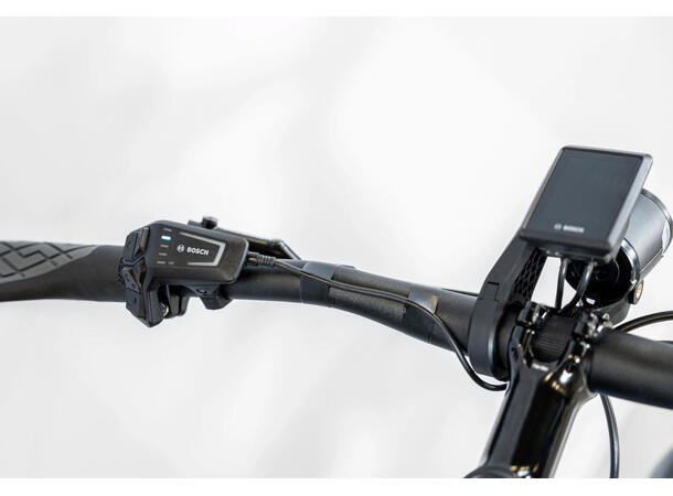 Trek Allant+ 6 Galactic Grey, L 