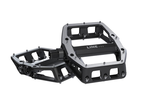 Trek Line Pro Flat Pedal Black, 