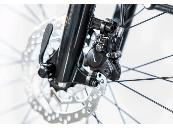 Trek Verve+ 1 Lowstep DT M 