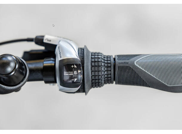 Trek Verve+ 1 Lowstep DT M 