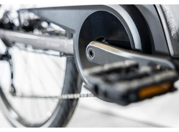 Trek Verve+ 1 Lowstep DT M 