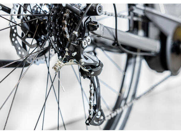 Trek Verve+ 1 Lowstep DT M 