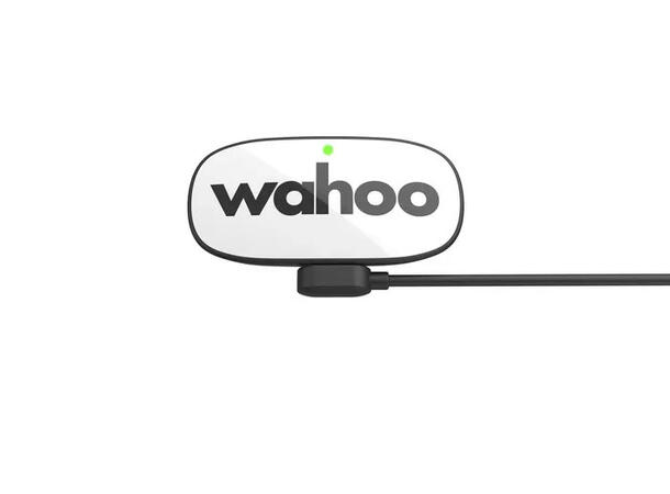 Wahoo TRACKR HR Pulsbelte 